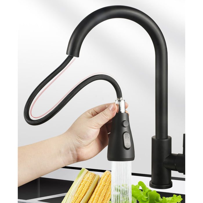 Single Handle Black Kitchen Faucet with Pull Down Sprayer