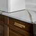 Modern Zinc Alloy Long Cabinet Pulls with Rectangle Backplate