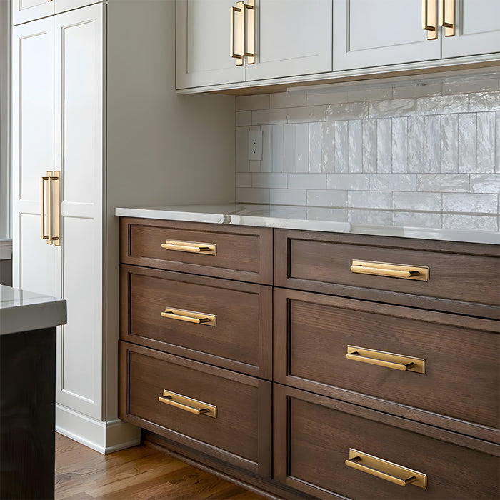 Modern Zinc Alloy Long Cabinet Pulls with Rectangle Backplate