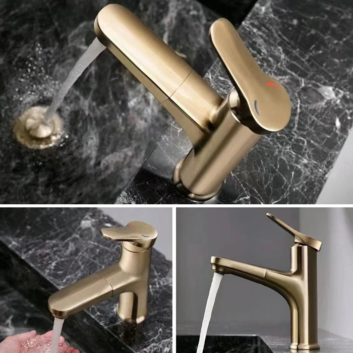 Single Handle Hot and Cold Bathroom Faucets with Pull Out Spray