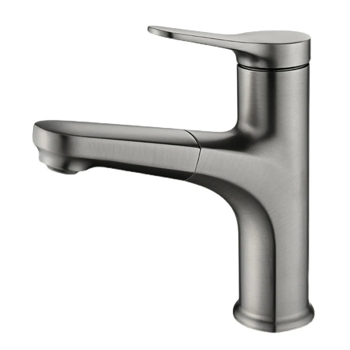 Single Handle Hot and Cold Bathroom Faucets with Pull Out Spray