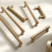 Modern Zinc Alloy Champagne Gold T Bar Cabinet Pulls