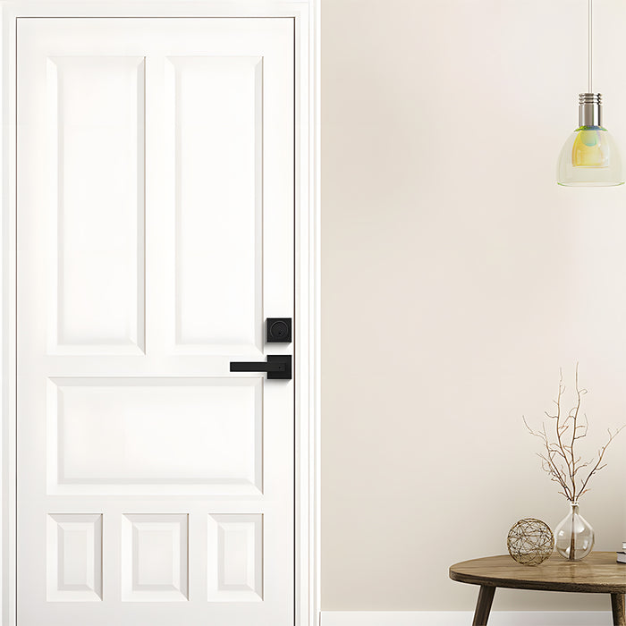 Entry Door Locksets Exterior Door Handle and Deadbolt Set