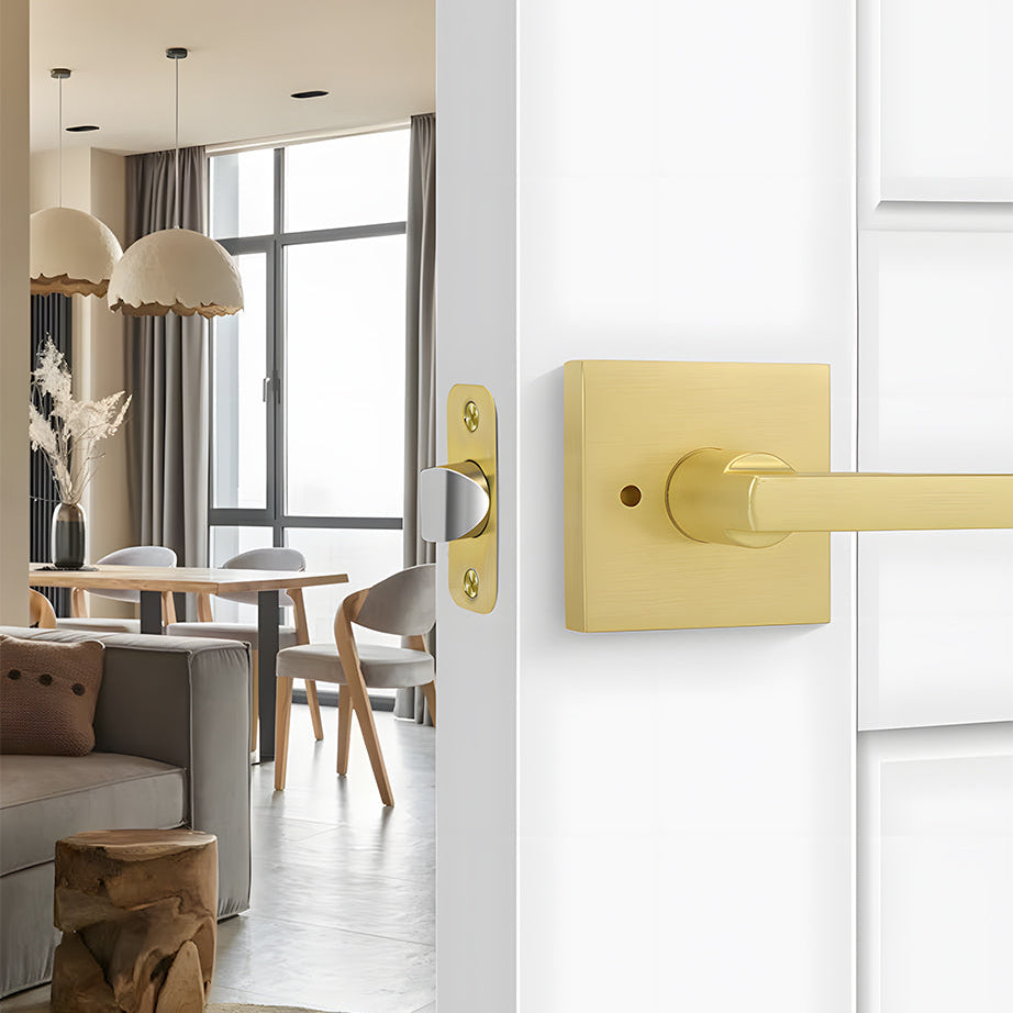 Door Levers
