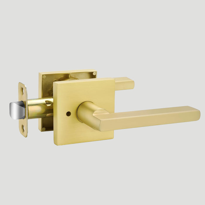 Modern Brushed Gold Privacy Passage & Dummy Interior Door Handles