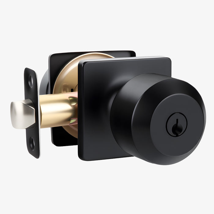 Black Simple Round Door Knob for Room