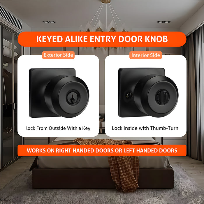 Exterior Entry Black Door Knob with Keys
