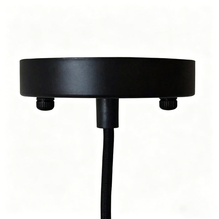 Clear Glass Globe Pendant Light with Black Cord