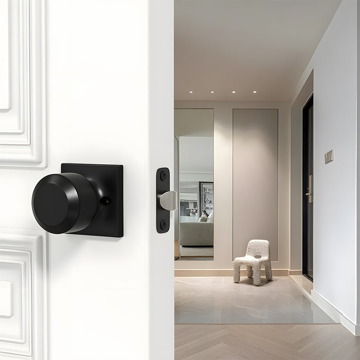 Black Simple Round Door Knob for Room