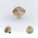 Organic Round Textured Zinc Alloy Cabinet Knobs