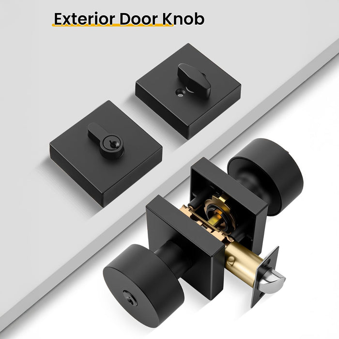 Matte Black & Brushed Nickel Entry Door Handle Set