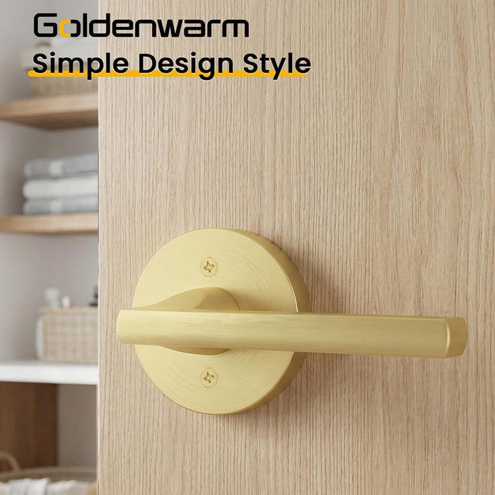 2 Pack Brushed Gold Dummy Door Handles Interior Door Levers