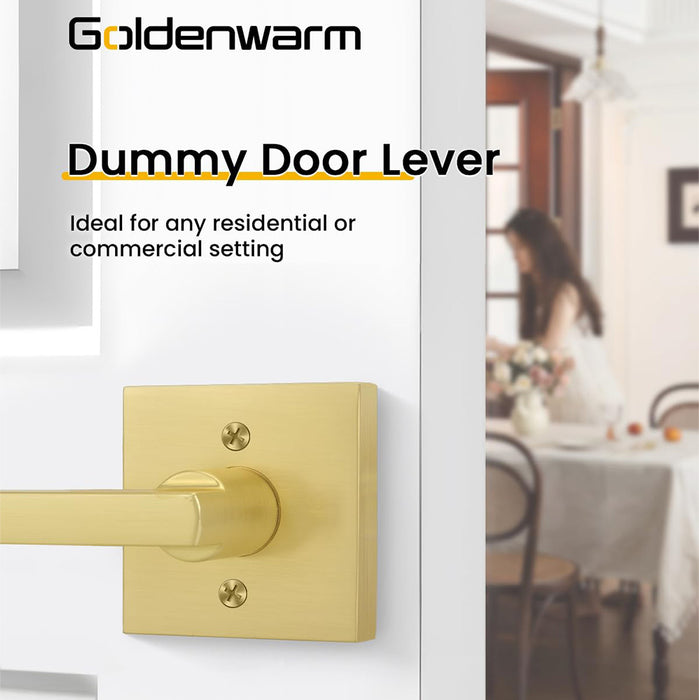 Modern Brushed Gold Privacy Passage & Dummy Interior Door Handles