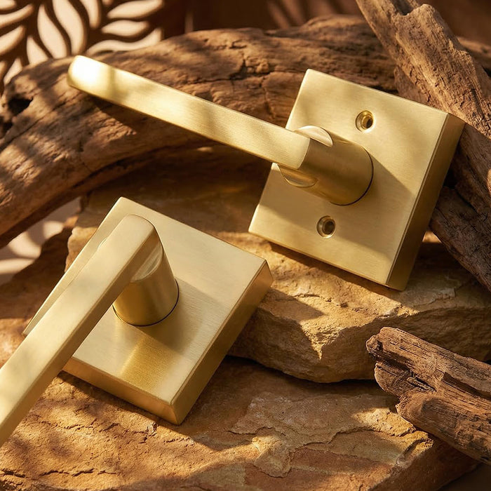 Modern Brushed Gold Privacy Passage & Dummy Interior Door Handles