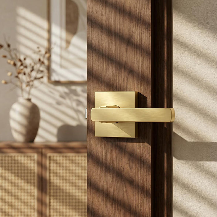 Modern Brushed Gold Privacy Passage & Dummy Interior Door Handles