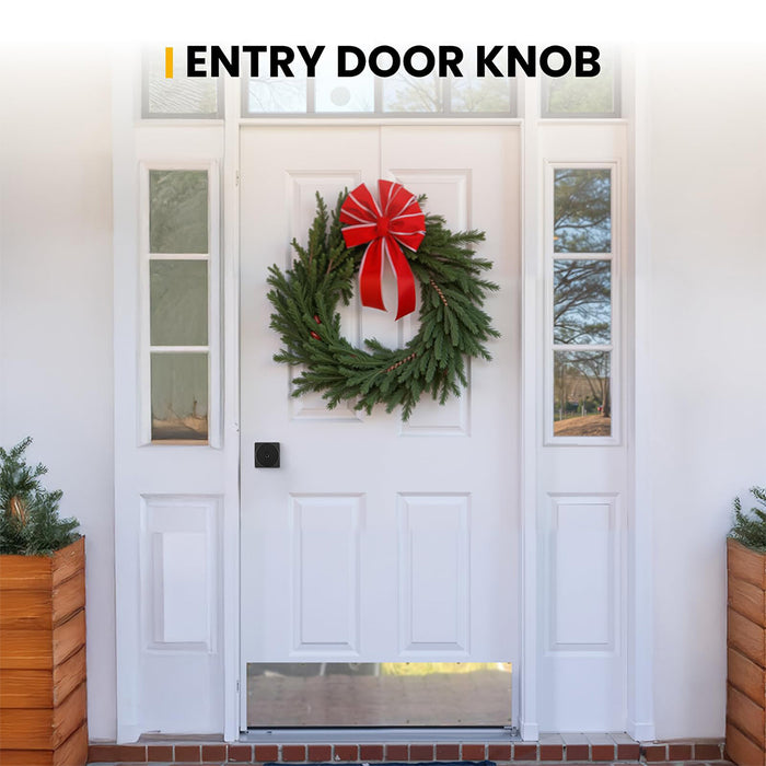 Matte Black Keyed-Alike Entry Door Knobs with Lock & Key