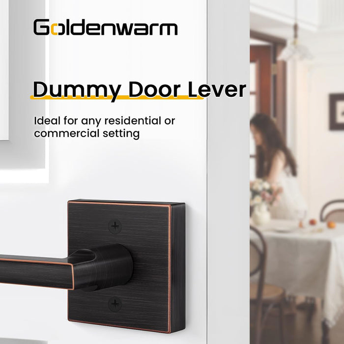 Modern Single-Sided Zinc Alloy Heavy Duty Dummy Door Lever