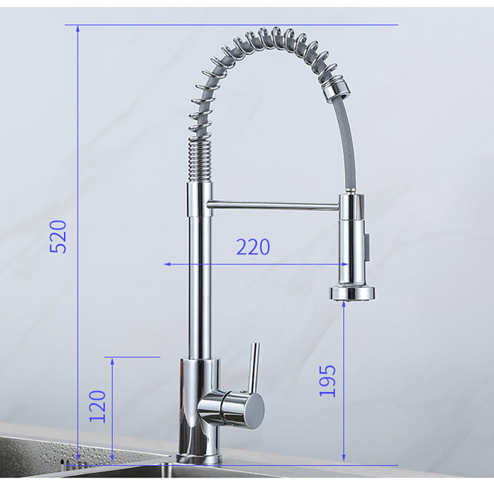 Single Handle Kitchen Faucet with Pull Down Sprayer Spring Faucet for Kitchen Sink with Deck Plate
