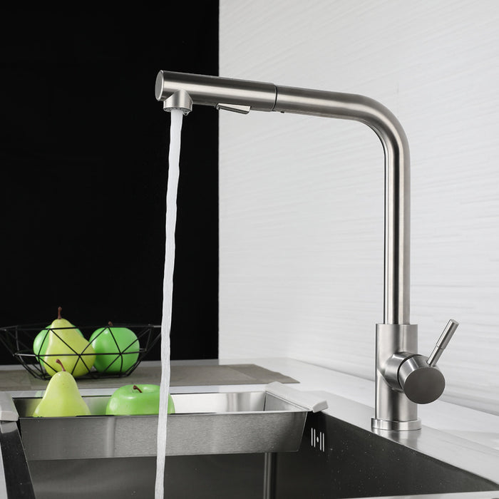 Single Lever Kitchen Sink Faucet with Pull Out Spray
