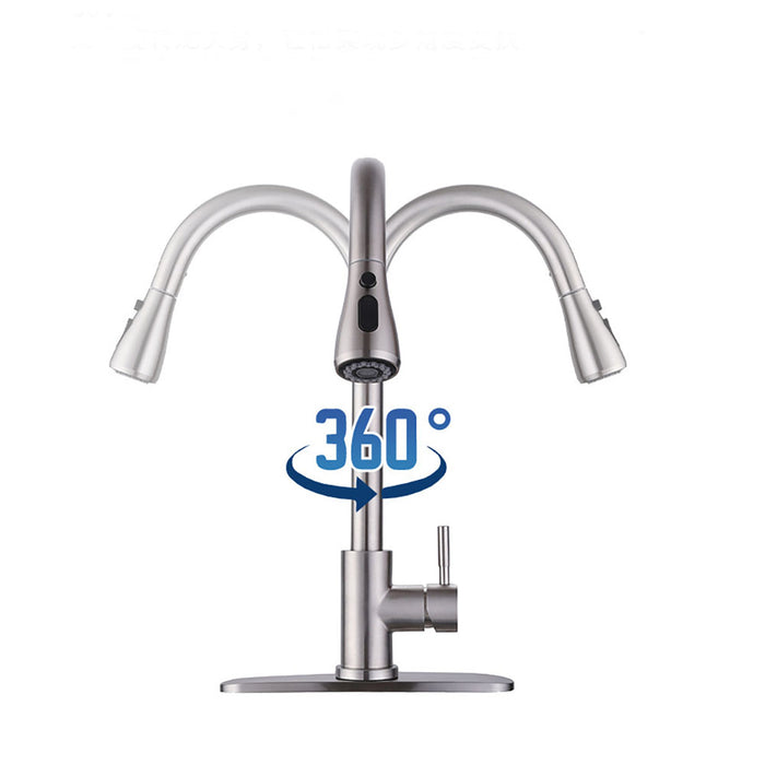 Single Handle Kitchen Sink Faucet Kitchen Faucets with Pull Down Sprayer
