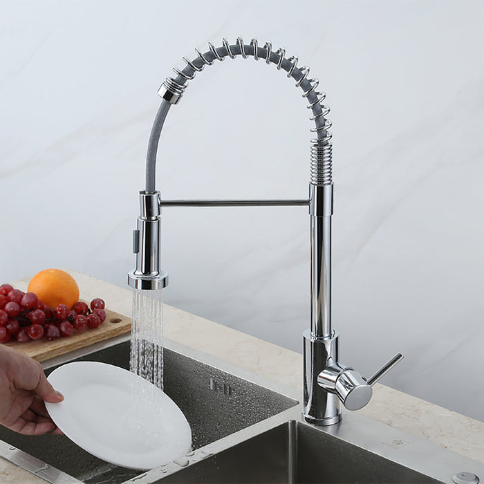 Single Handle Kitchen Faucet with Pull Down Sprayer Spring Faucet for Kitchen Sink with Deck Plate