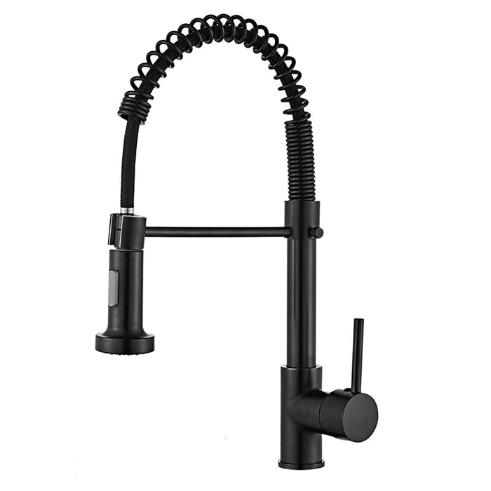 Kitchen Sink Faucet,Single Handle Kitchen Faucet with Pull Down Sprayer